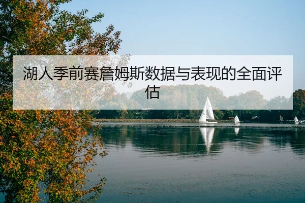 湖人季前赛詹姆斯数据与表现的全面评估